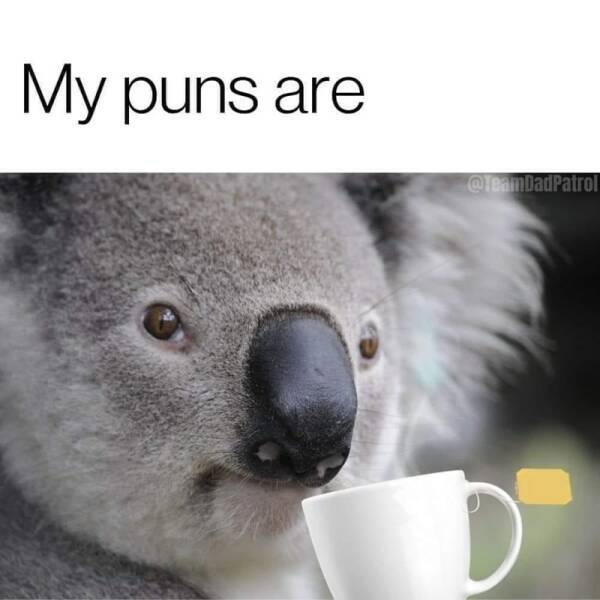 Clever...Very Clever… Clever...Very Clever…