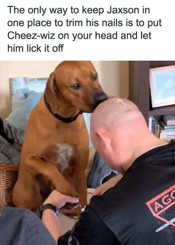 Clever...Very Clever… Clever...Very Clever…