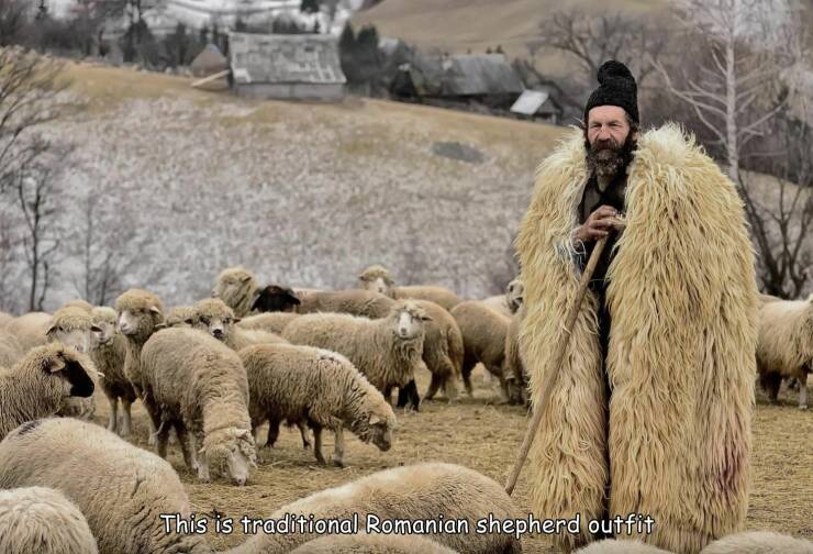 Morning Picdump Morning Picdump