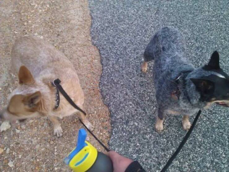 Morning Picdump Morning Picdump