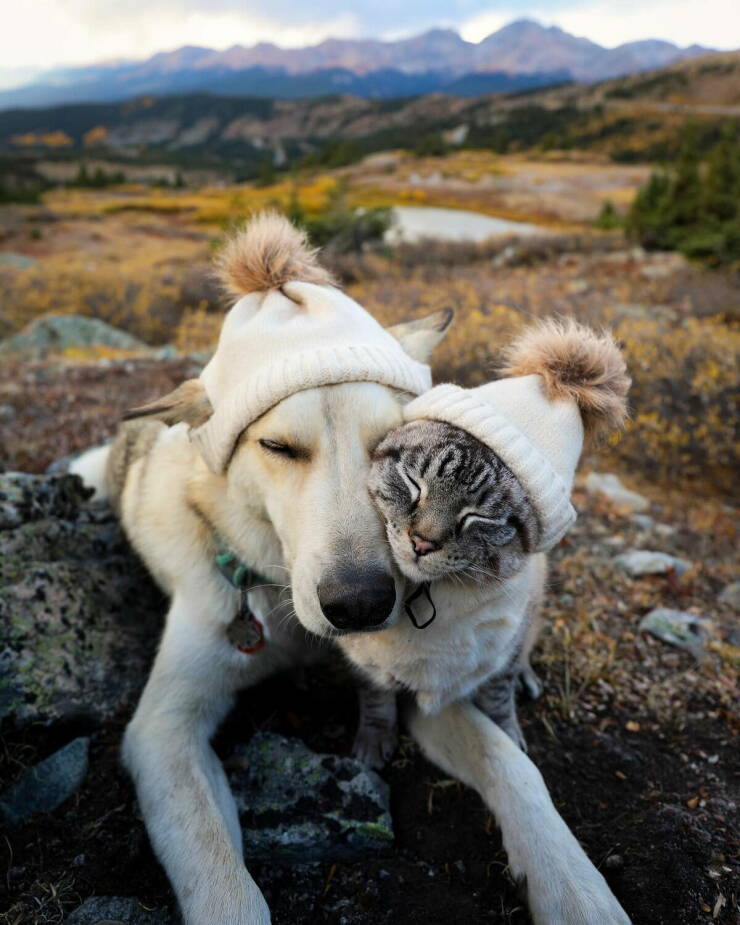 Morning Picdump