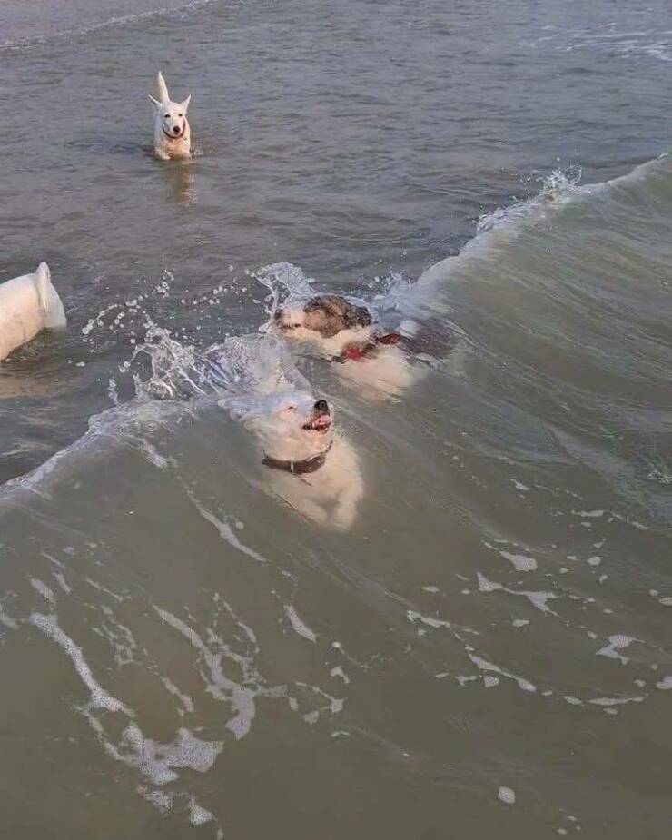 Morning Picdump Morning Picdump