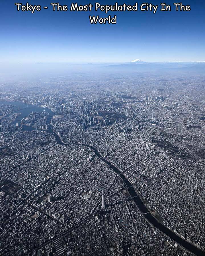 Morning Picdump Morning Picdump