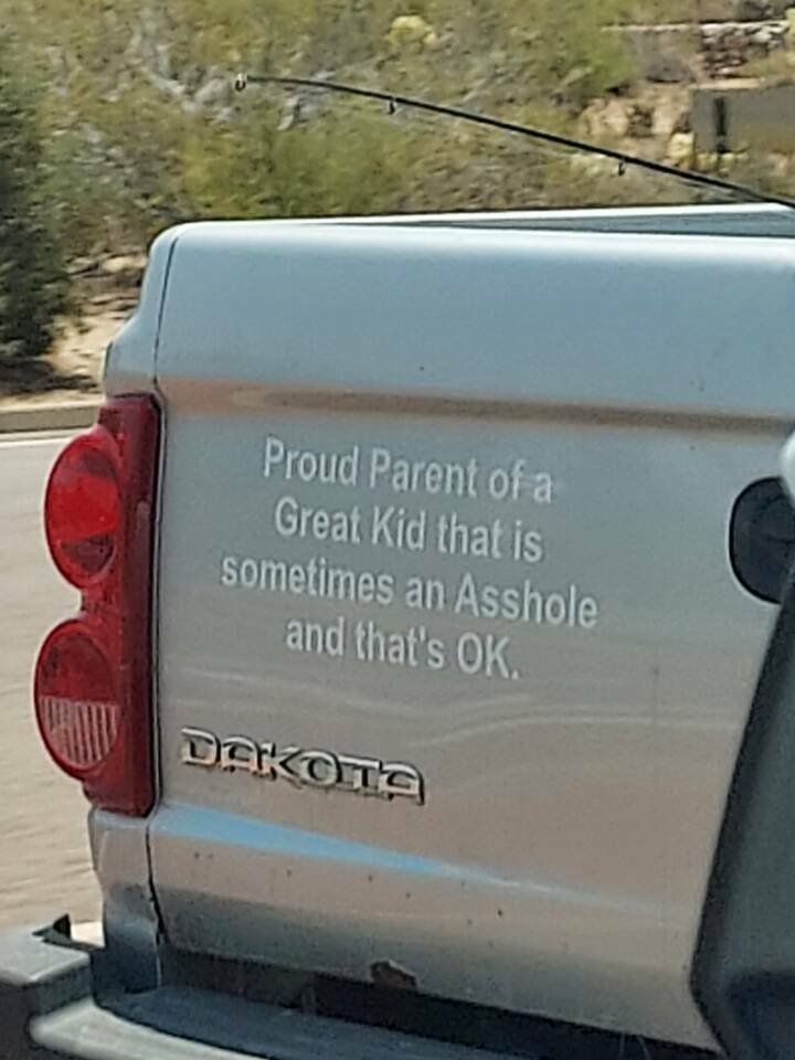 Morning Picdump Morning Picdump