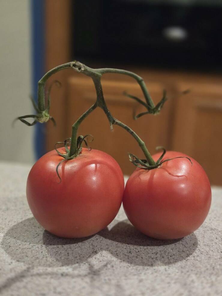 Morning Picdump Morning Picdump