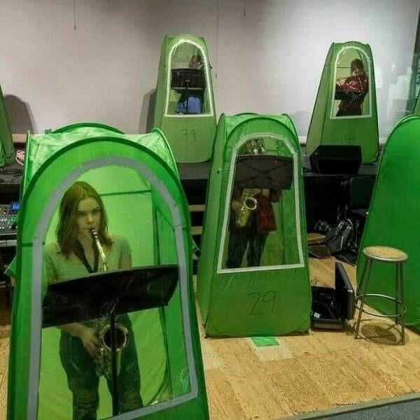 The Wild Side of the Internet, One Pic at a Time