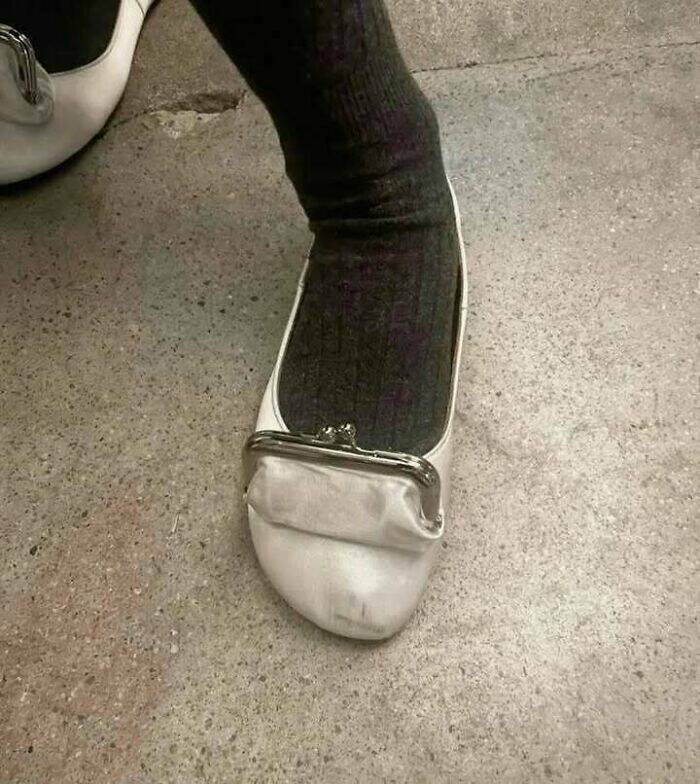 The Wild Side of the Internet, One Pic at a Time