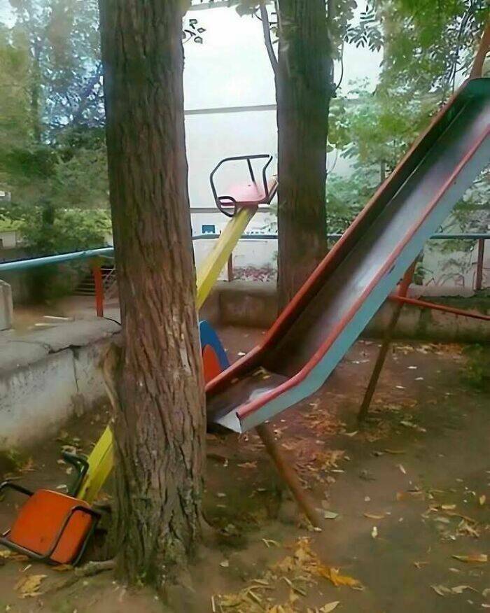 The Wild Side of the Internet, One Pic at a Time