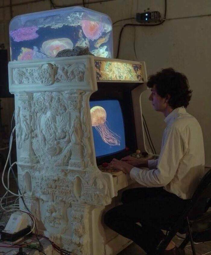 The Wild Side of the Internet, One Pic at a Time