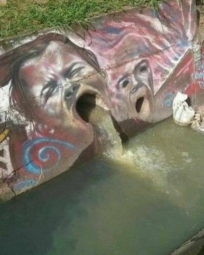 The Wild Side of the Internet, One Pic at a Time