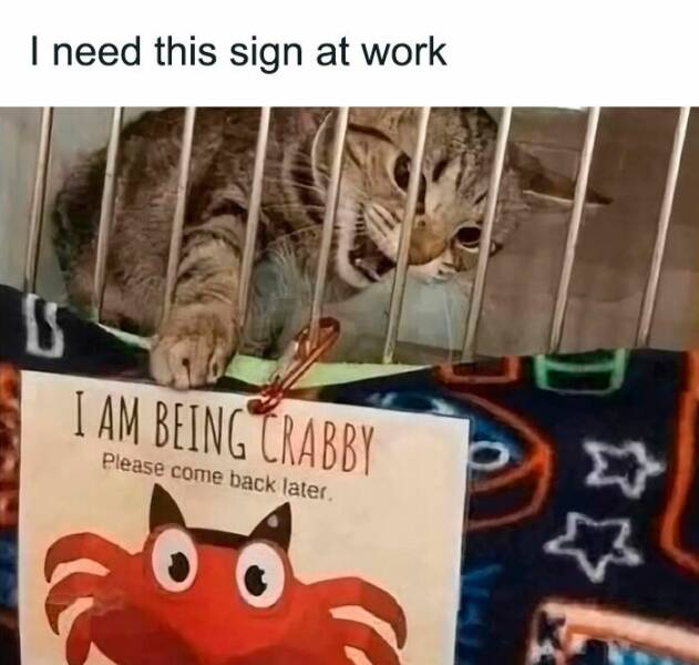 Work Memes for When You’ve Had Enough of the Grind