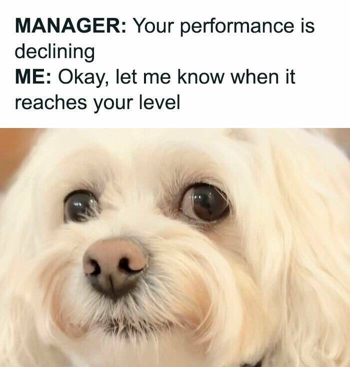 Work Memes for When You’ve Had Enough of the Grind