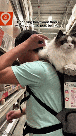 Clever...Very Clever… Clever...Very Clever…