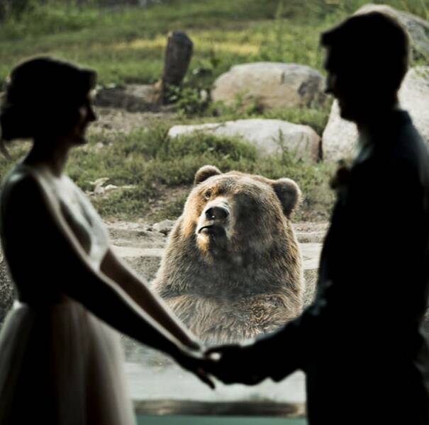 Daily Picdump