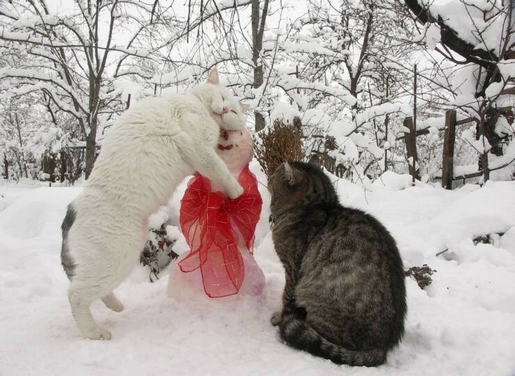 Daily Picdump