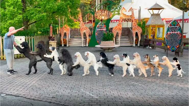 Daily Picdump