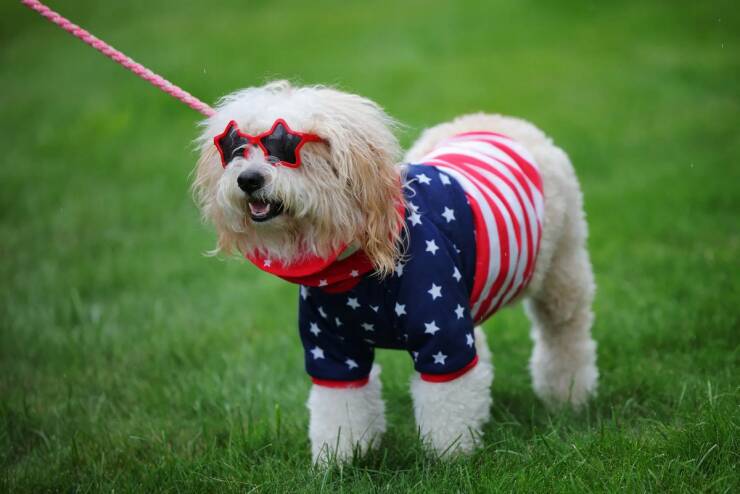 Daily Picdump