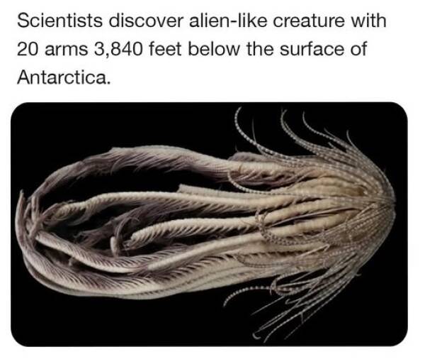 Daily Picdump Daily Picdump