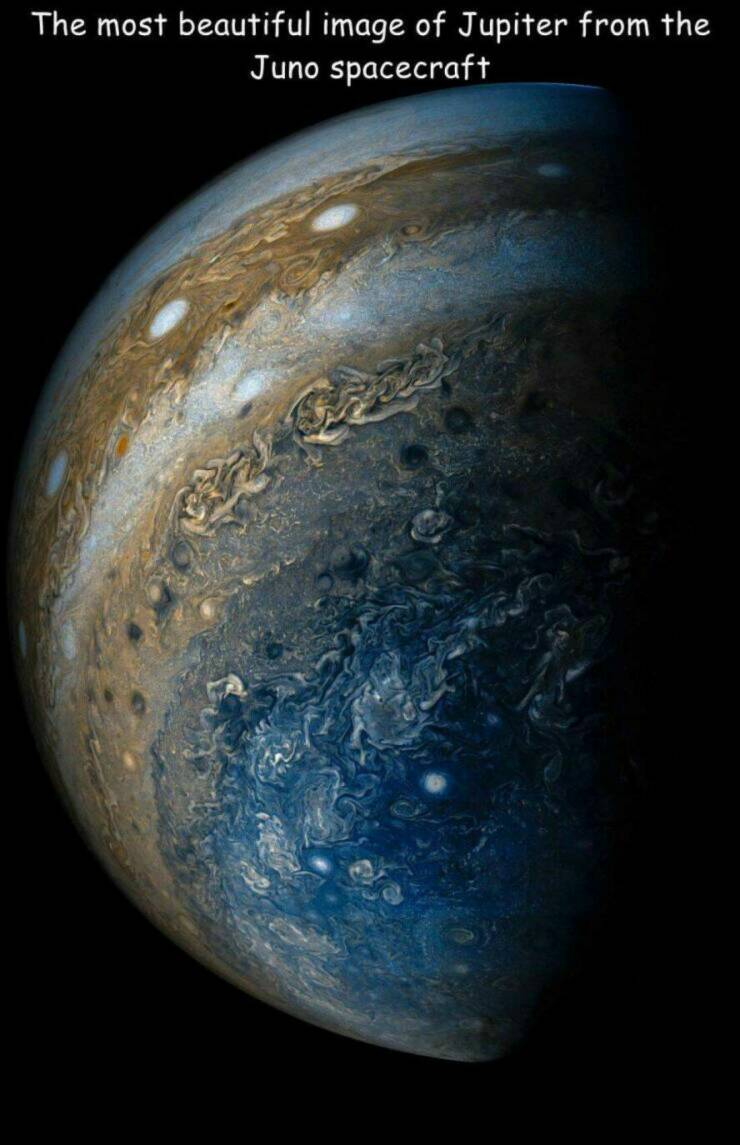 Daily Picdump Daily Picdump