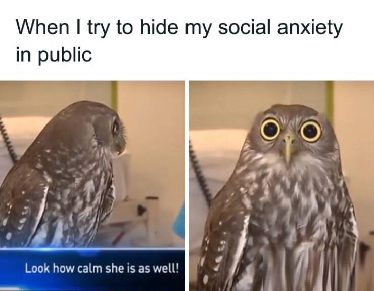 Social Anxiety Memes That Hit a Little Too Close to Home