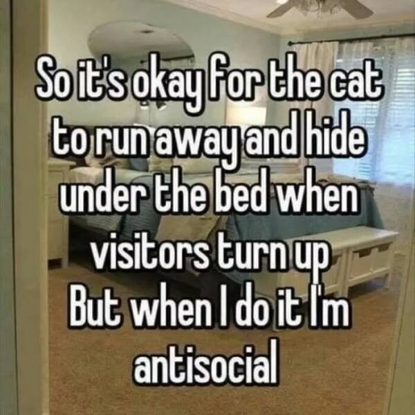Social Anxiety Memes That Hit a Little Too Close to Home