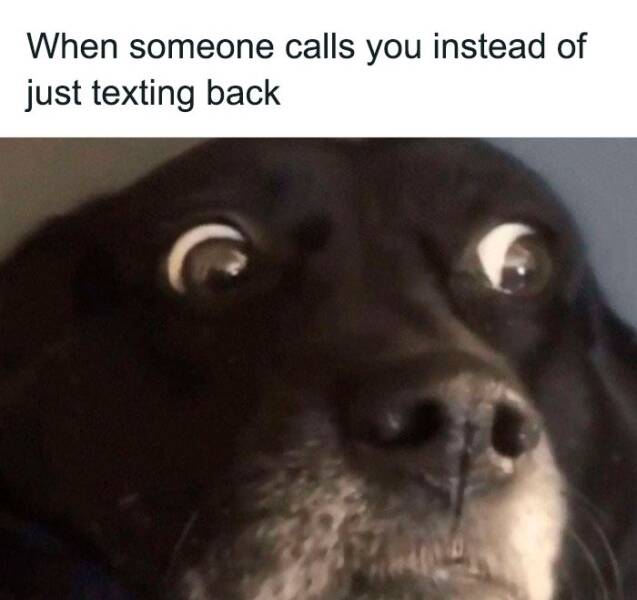 Social Anxiety Memes That Hit a Little Too Close to Home