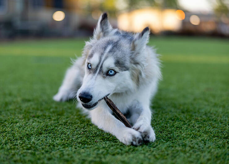 Truths We Keep Repeating Because Some Still Refuse to Accept Them