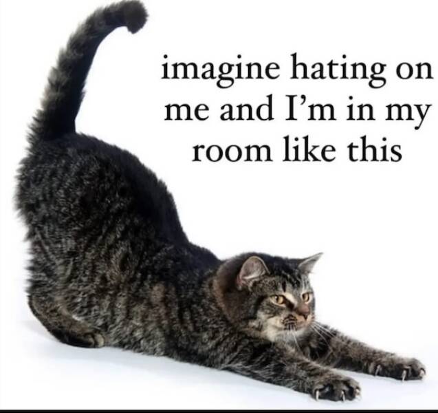 Uplifting Pics to Make Your Day a Bit Better