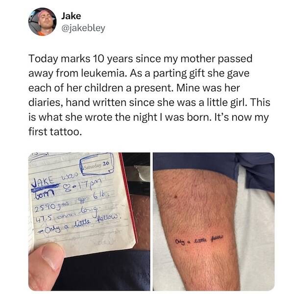 Uplifting Pics to Make Your Day a Bit Better