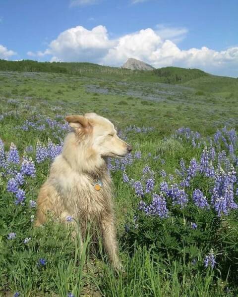 Uplifting Pics to Make Your Day a Bit Better