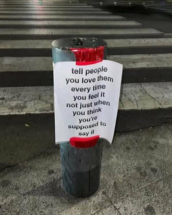 Uplifting Pics to Make Your Day a Bit Better