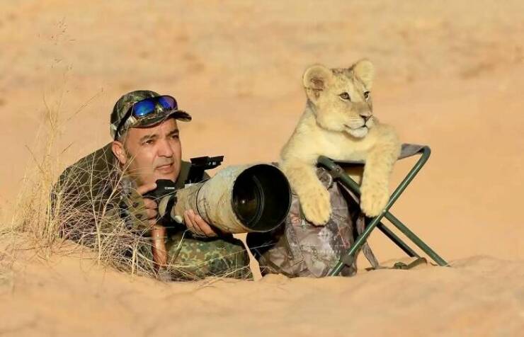 When Wildlife Becomes the Photographer’s Assistant
