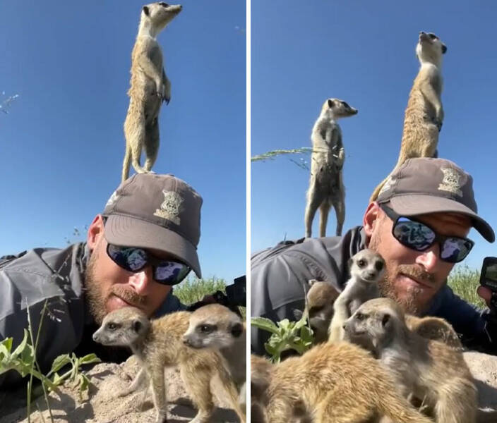 When Wildlife Becomes the Photographer’s Assistant