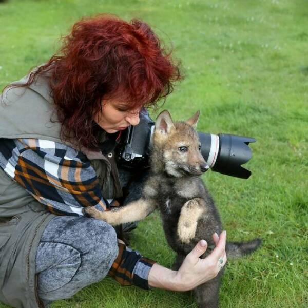 When Wildlife Becomes the Photographer’s Assistant