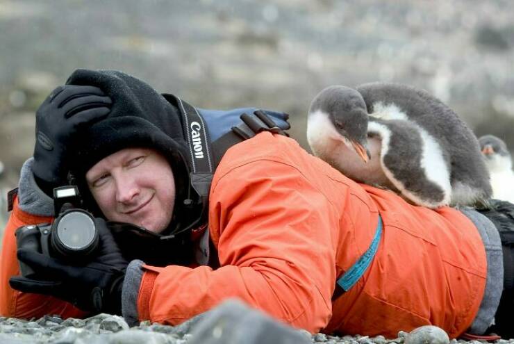 When Wildlife Becomes the Photographer’s Assistant