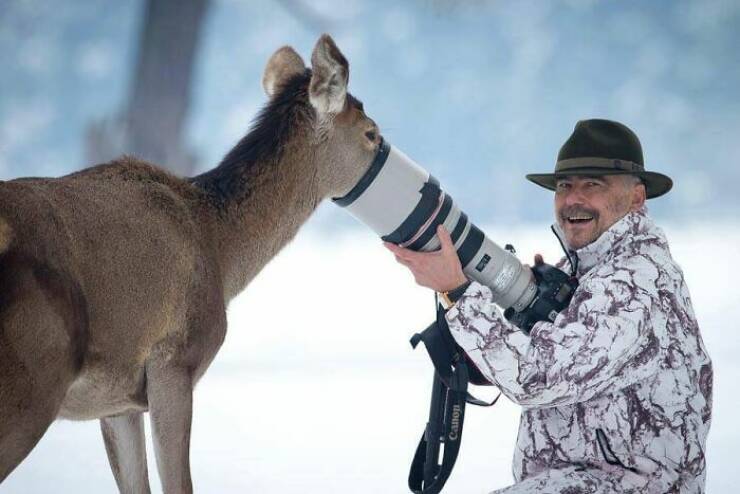 When Wildlife Becomes the Photographer’s Assistant