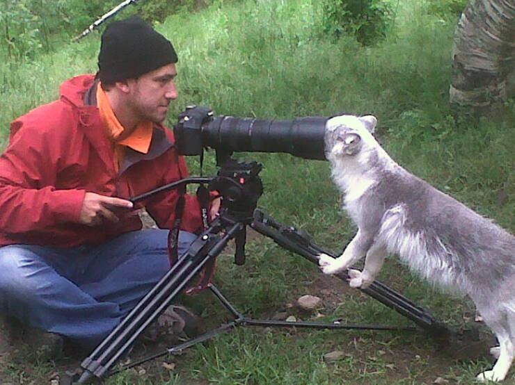 When Wildlife Becomes the Photographer’s Assistant