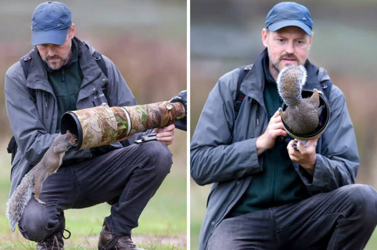 When Wildlife Becomes the Photographer’s Assistant