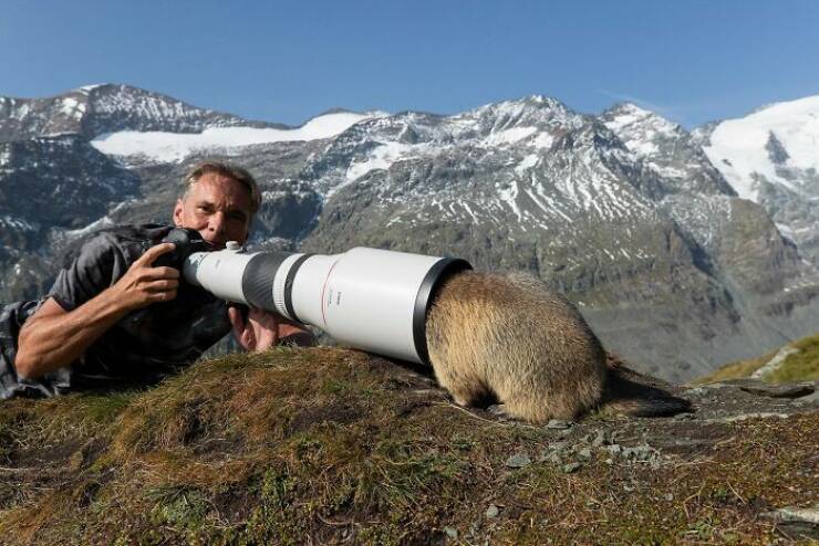When Wildlife Becomes the Photographer’s Assistant