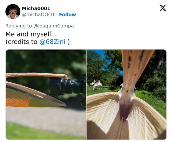 When Wildlife Becomes the Photographer’s Assistant