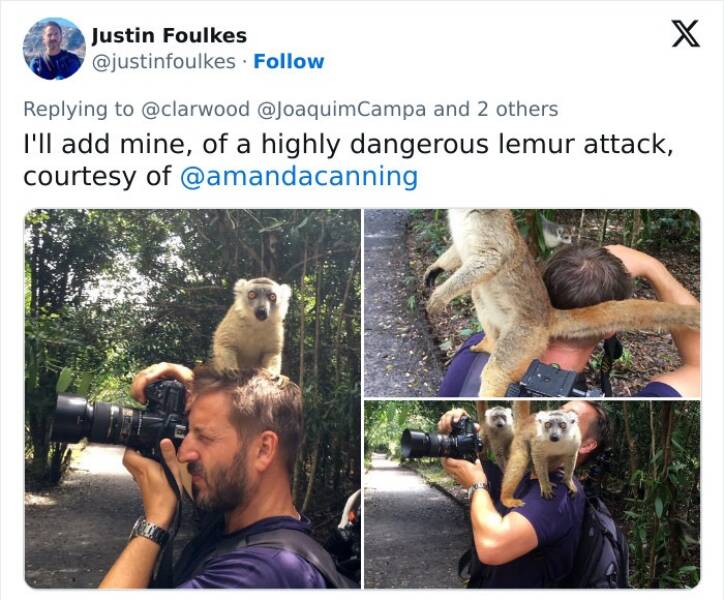 When Wildlife Becomes the Photographer’s Assistant