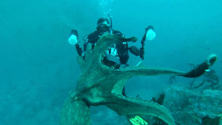 When Wildlife Becomes the Photographer’s Assistant When Wildlife Becomes the Photographer’s Assistant