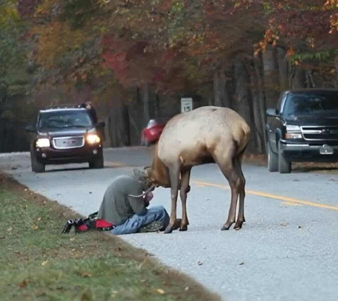 When Wildlife Becomes the Photographer’s Assistant When Wildlife Becomes the Photographer’s Assistant