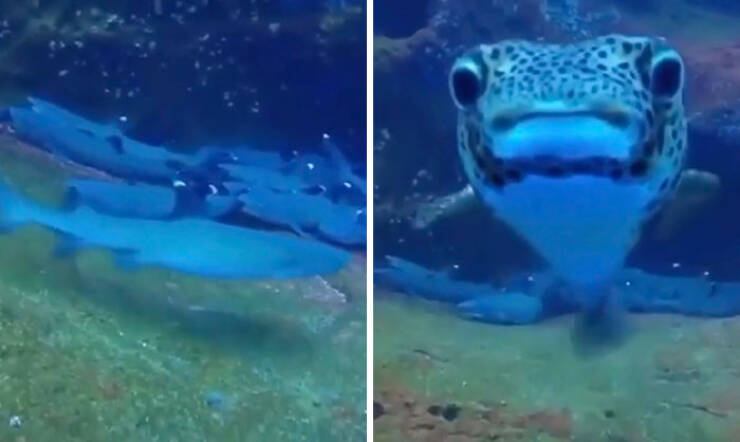 When Wildlife Becomes the Photographer’s Assistant When Wildlife Becomes the Photographer’s Assistant