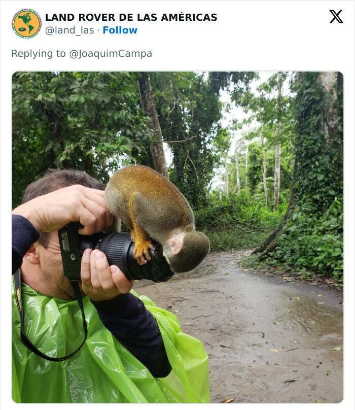 When Wildlife Becomes the Photographer’s Assistant