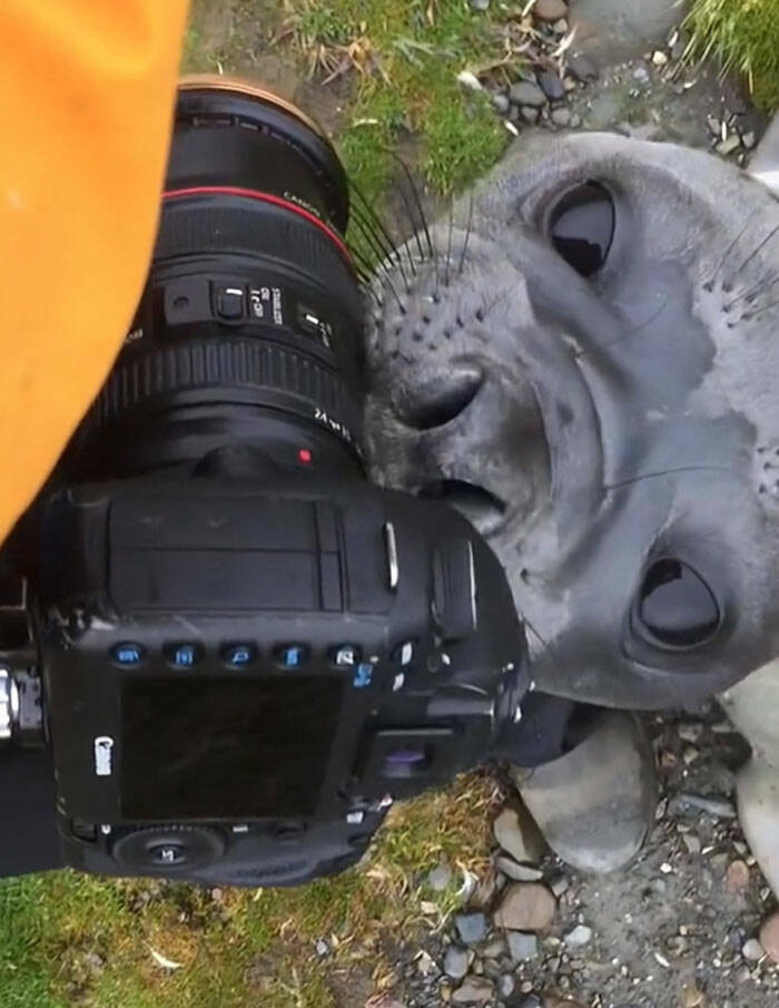 When Wildlife Becomes the Photographer’s Assistant