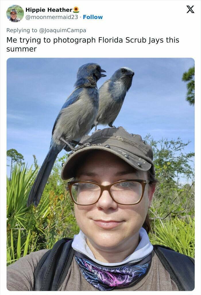 When Wildlife Becomes the Photographer’s Assistant When Wildlife Becomes the Photographer’s Assistant