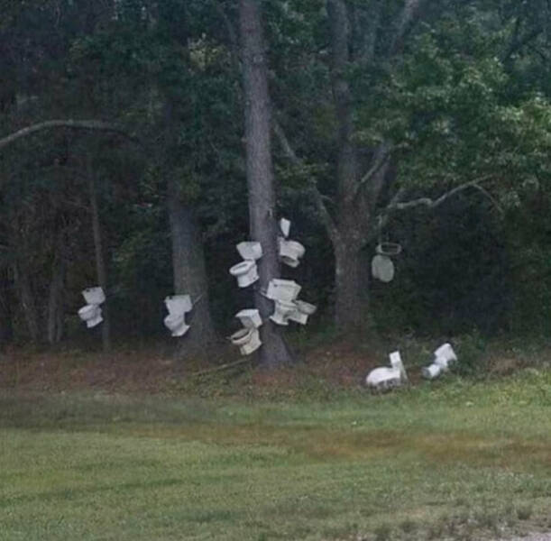 Bizarre Pics the Internet Had No Business Sharing