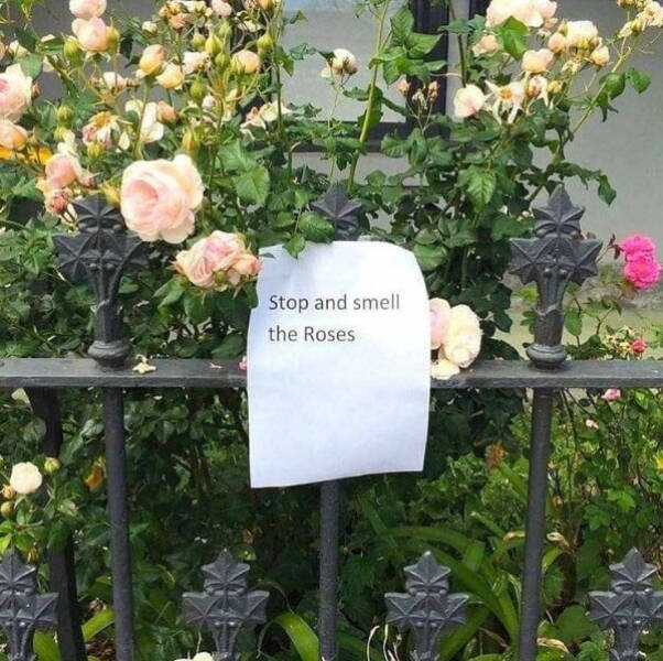 The Real Flex Is Loving Your Own Journey