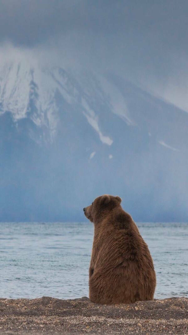 The Real Flex Is Loving Your Own Journey